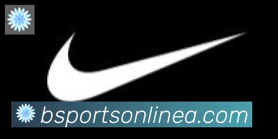 BSPORTS合作伙伴